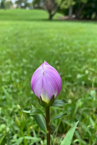 �ݵ��е���ɫ����