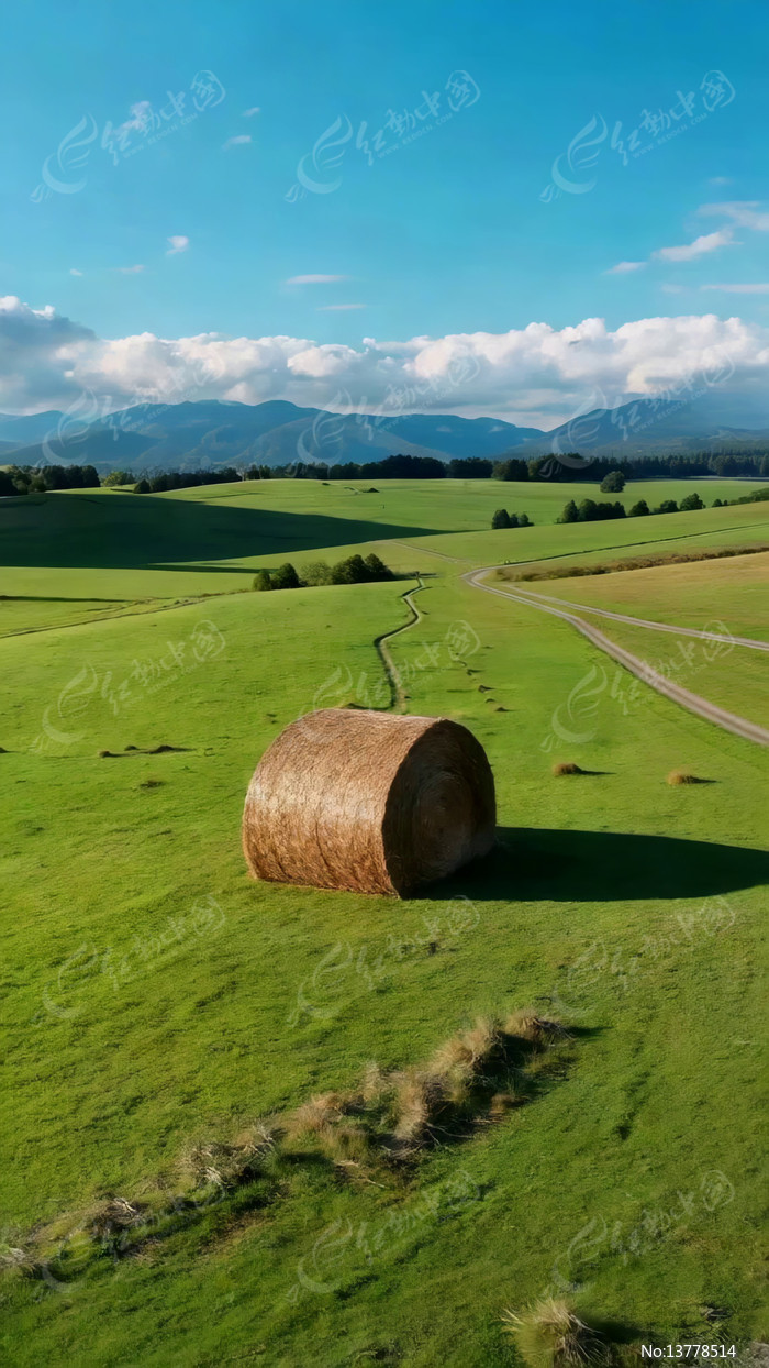 ��ԭ�ݶ���Ȼ���