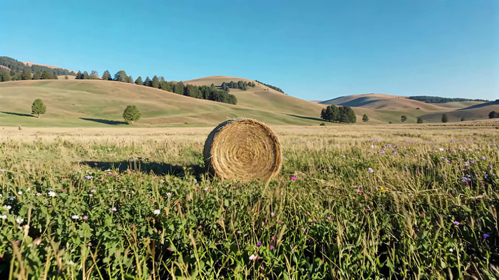 ��ԭ�ݶ���Ȼ���