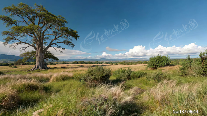 ��ԭ������Ȼ���