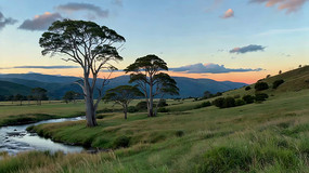 ��ԭ������ľ�ƻ���Ȼ���