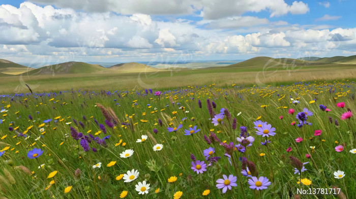 ��ԭ������Ȼ���