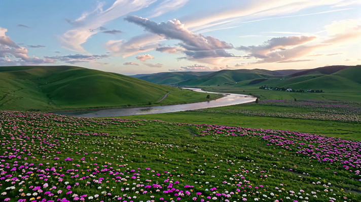草原花海自然风光全景 草原花海自然风光全景