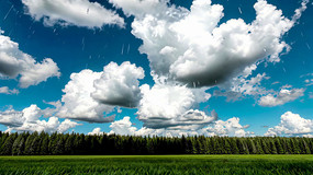 ��ԭɭ���Ͽ�������ƾ���