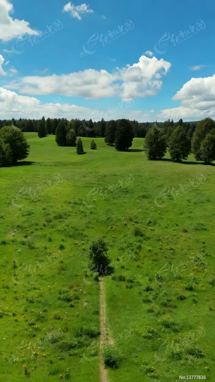 ��ԭɭ����Ȼ��⸩�