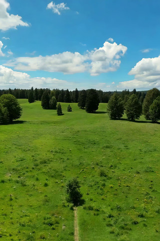 草原森林自然风光俯瞰 草原森林自然风光俯瞰