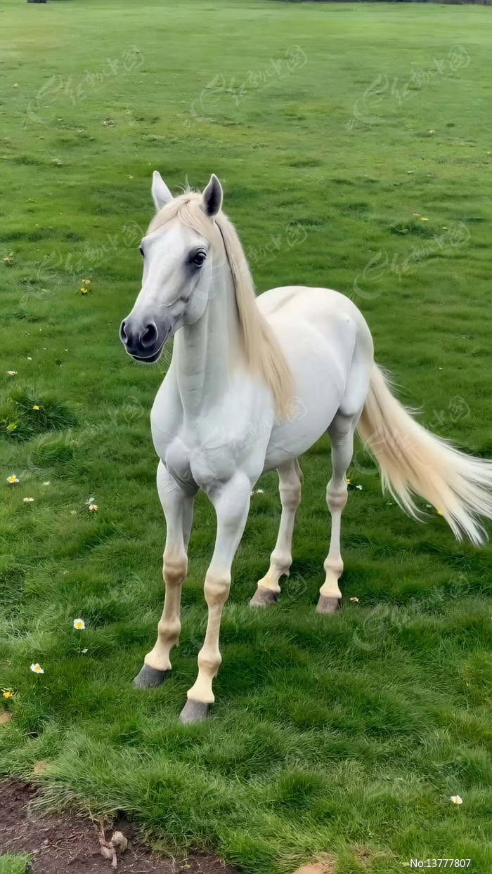 ��ԭ�ϵİ�ɫ����