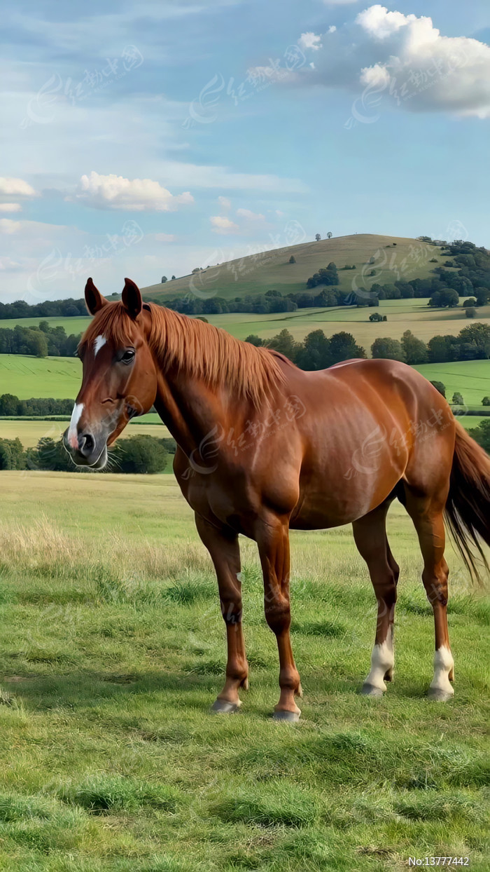 ��ԭ�ϵ���ɫ����