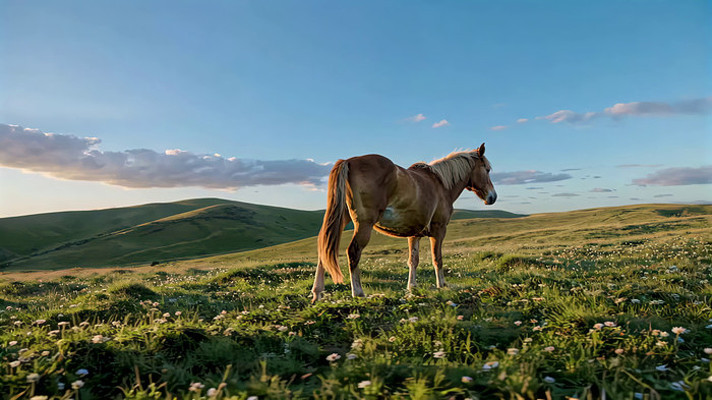 ��ԭ��վ���Ŀ���