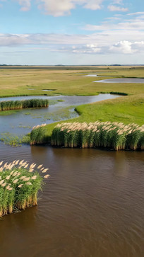 ��ԭʪ����Ȼ���