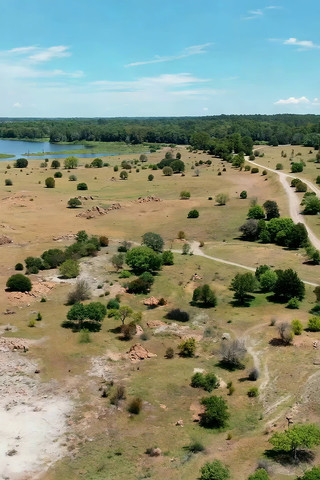 草原树林湖泊航拍全景 草原树林湖泊航拍全景