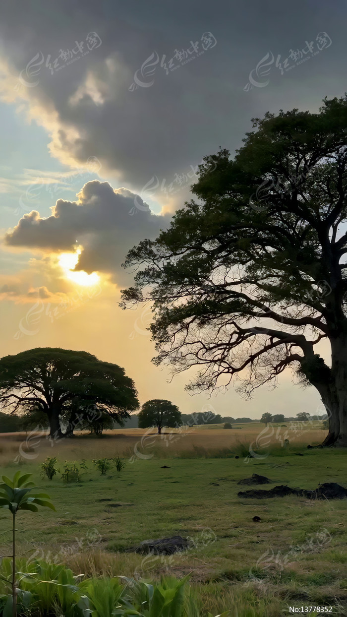 ��ԭ��ľ������Ȼ����