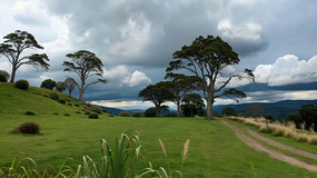 ��ԭ��ľ��Ȼ���