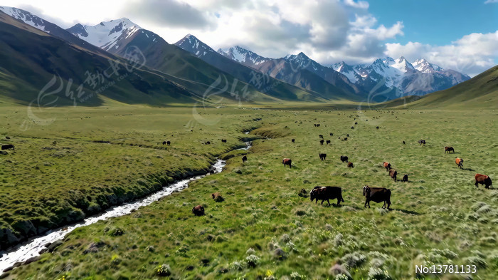 ��ԭѩɽ��ţȺ��Ȼ�Բ�