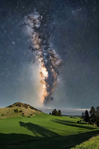 ��ԭҹ����������