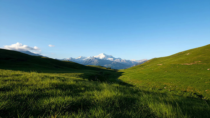 ��ԭ��Ȼ���ȫ��