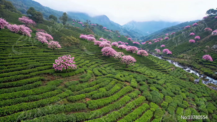 ��ɽӣ����Ȼ���ȫ��