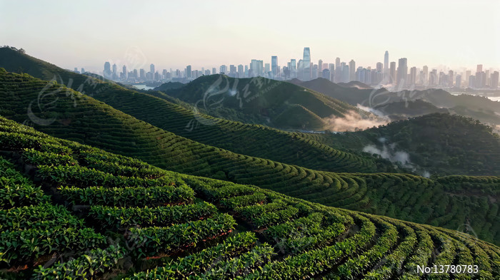 ��ɽ�����Զ�����