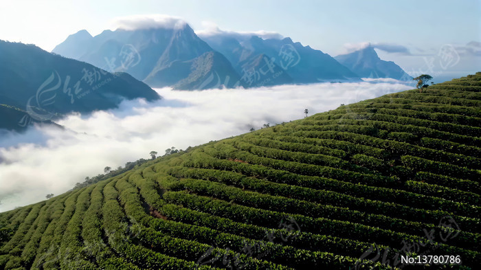 ��ɽ�ƺ���Ȼ���ȫ��