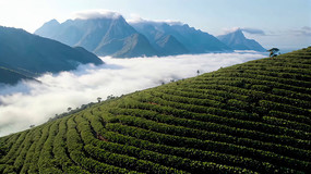 ��ɽ�ƺ���Ȼ���ȫ��