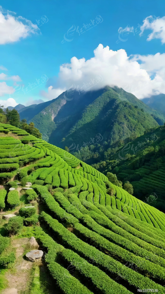 ��ɽ��Ȼ���ȫ��