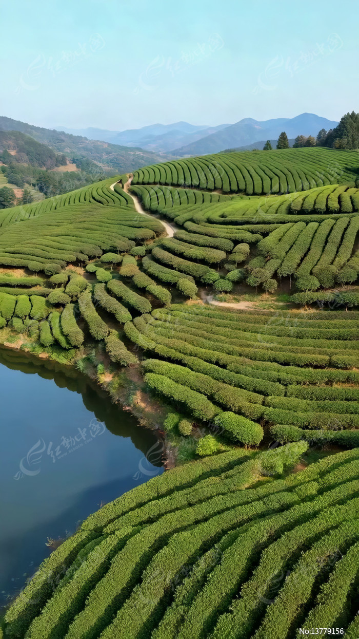 ��԰��Ȼ��⸩�ȫ��