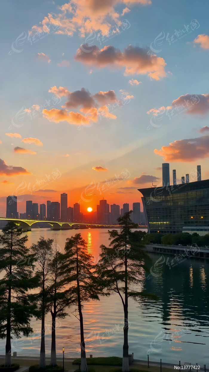 ���к���������