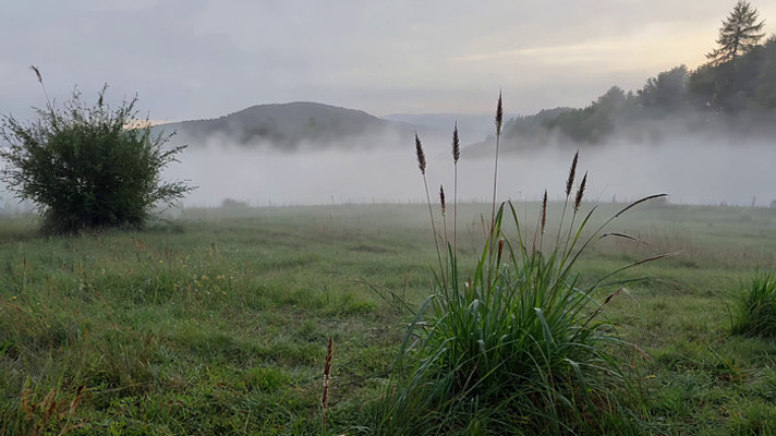 晨雾弥漫的山间草地风光 晨雾弥漫的山间草地风光