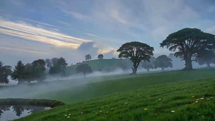 晨雾中的草地与树木景观 晨雾中的草地与树木景观