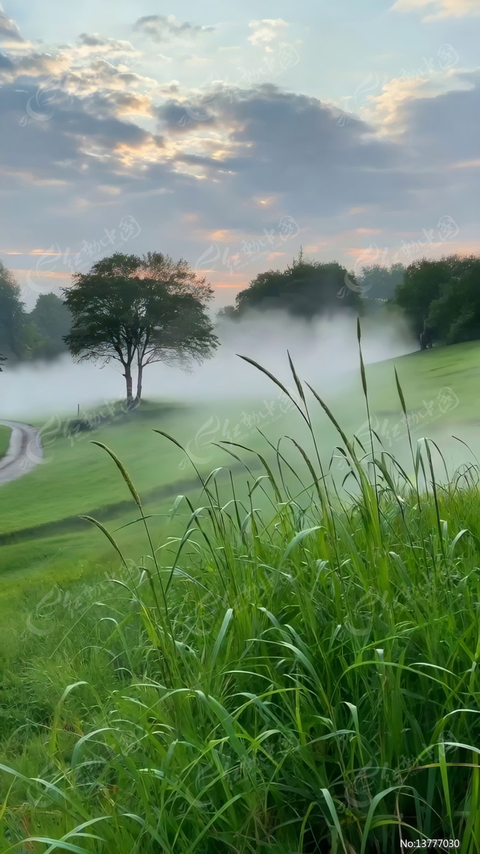 �����е���Ұ����ľ�羰