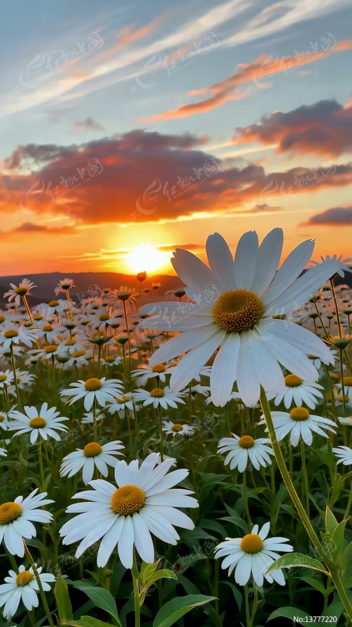 ������������Ȼ���