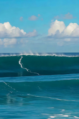 �󺣺������������Ȼ����