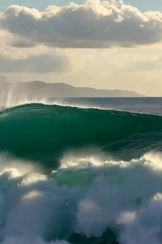 �󺣺�����Ȼ����