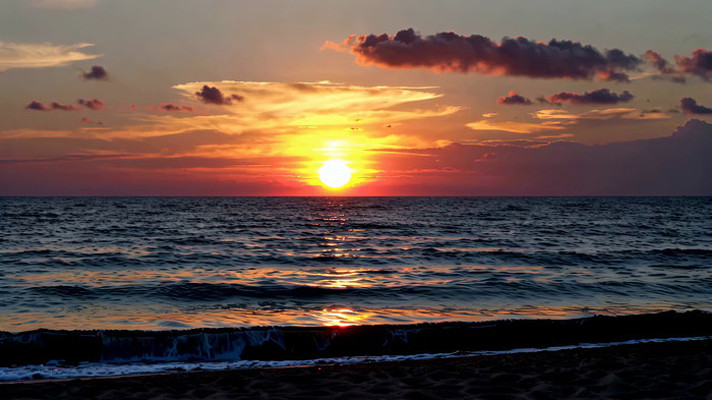 �����侰��