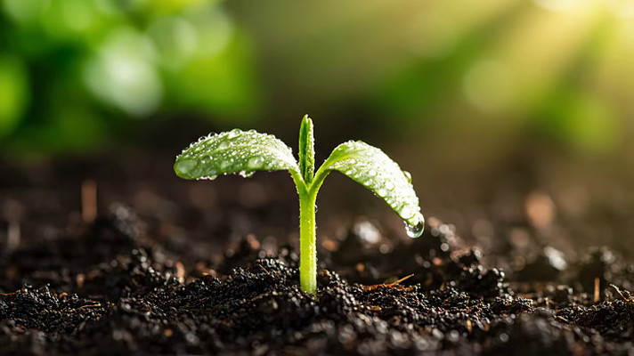 ��ˮ������������д