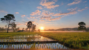 �����ճ���Ȼ���