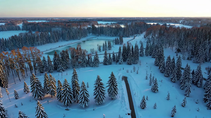 ����ɭ��ѩ�������ز�