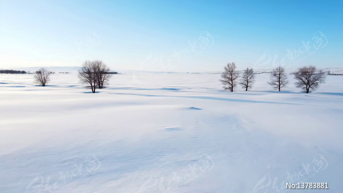 ���չ���ѩ����Ȼ���