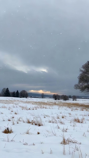 ������ҰƮѩ��Ȼ���