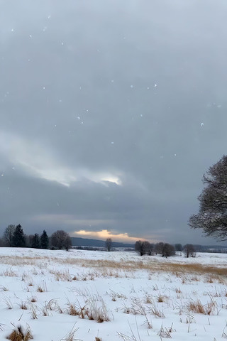 ������ҰƮѩ��Ȼ���