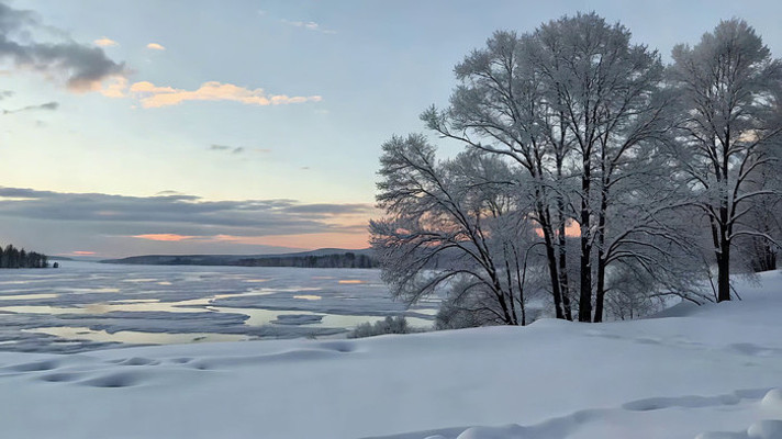 ����ѩ��ɭ��ȫ��