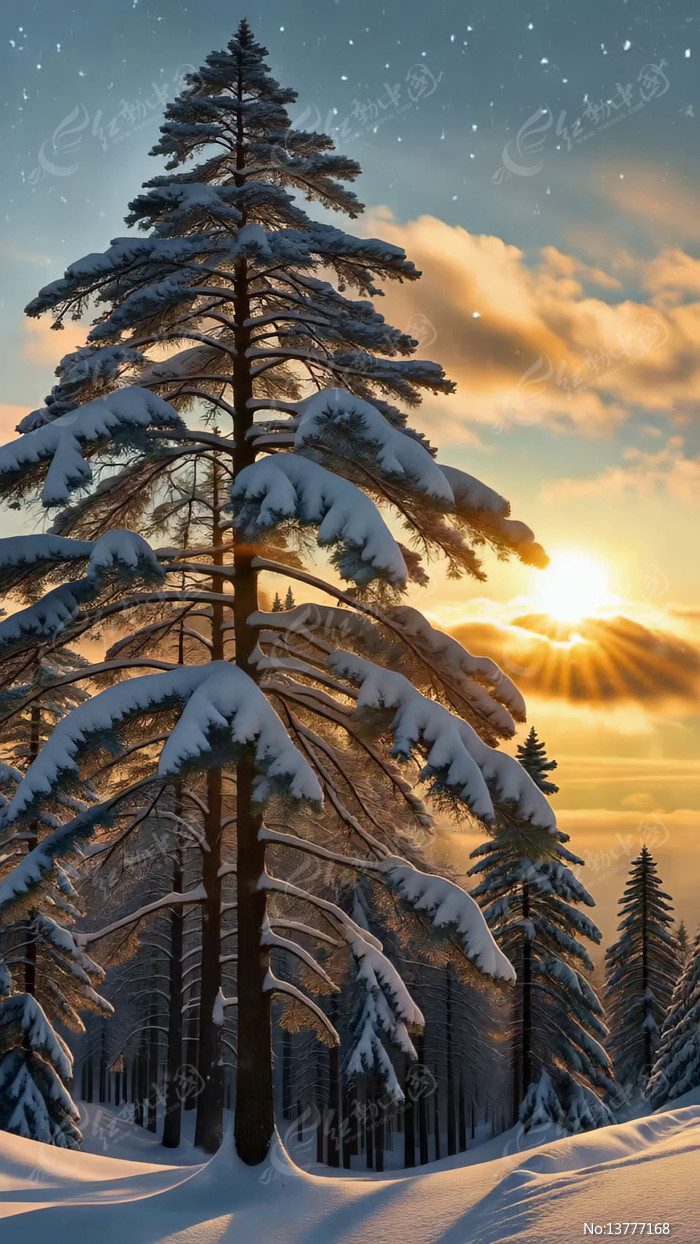 ����ѩ����Ϧ����Ȼ���