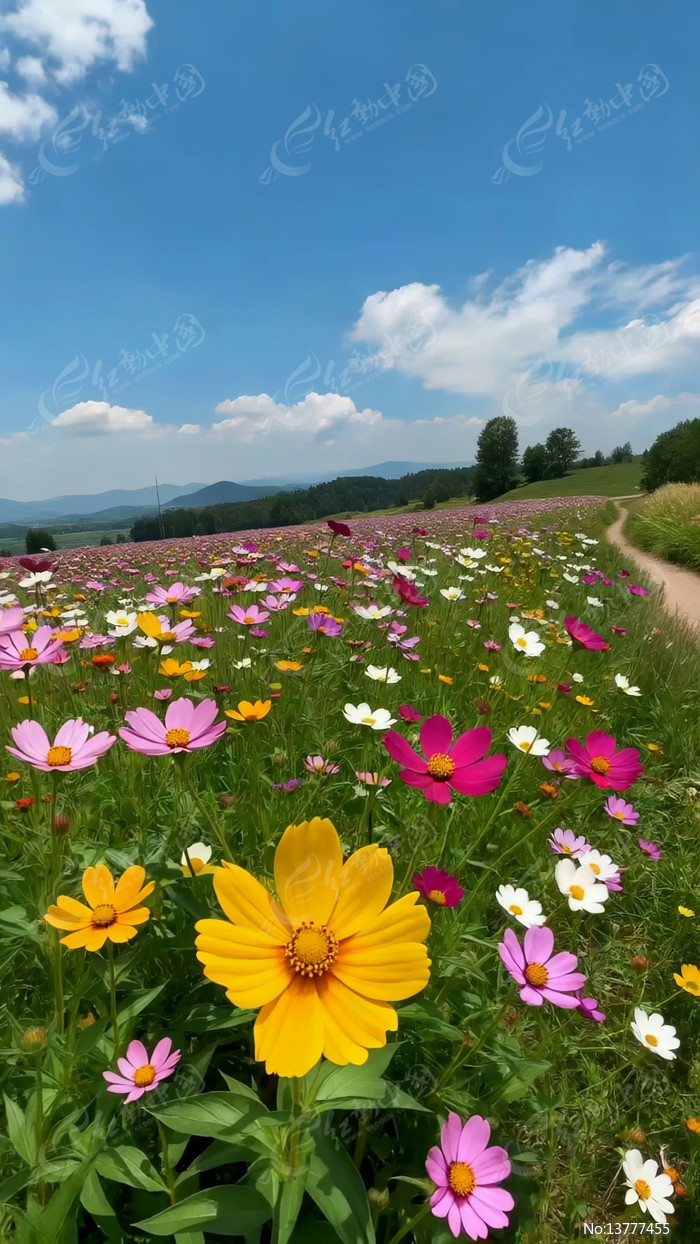 ��ʻ�����Ȼ���