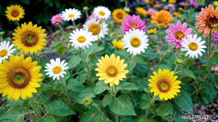 ��ʻ���������д