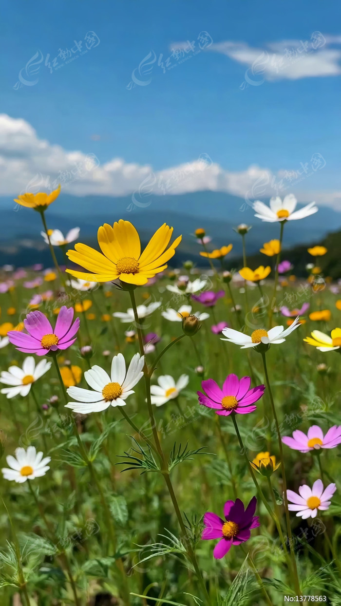 ���Ұ��ʢ������Ȼ�羰