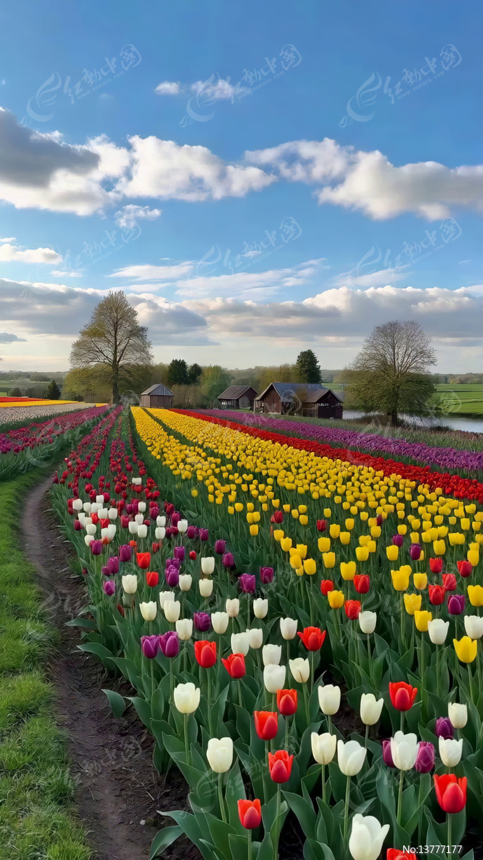 ��������㻨����԰���