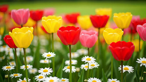 �������������ջ��ܾ���