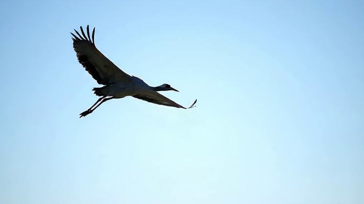 �������չ�����