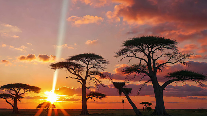 ���޲�ԭ������ľ����