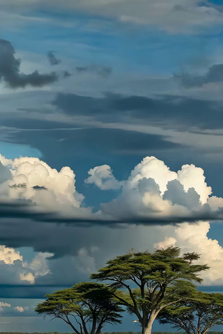 ���޲�ԭ��ľ����վ���